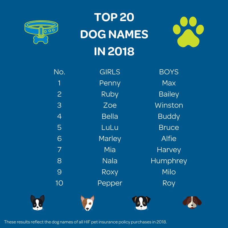 Top 20 Dogs Names For 2018