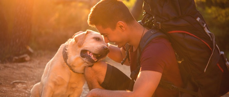 Man with his dog enjoying the bushland together at sunset