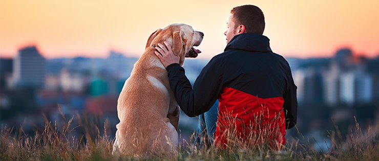 How Your Pet Can Improve Your Mental Health