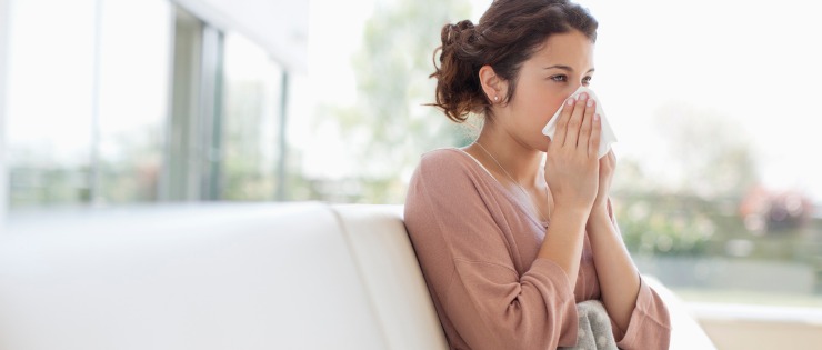 Cold or Hay fever? How to Spot the Difference and Get the Right Treatment