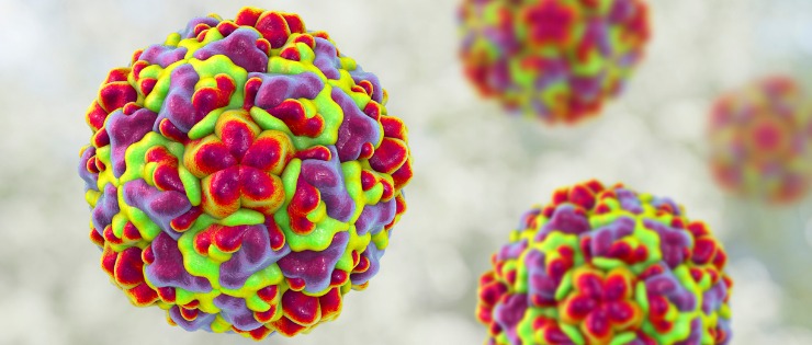 A 3d illustration of rhinovirus, the virus that often causes the common cold