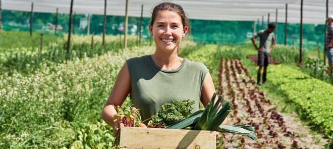 A woman holding a box of produce at a garden harvest. 