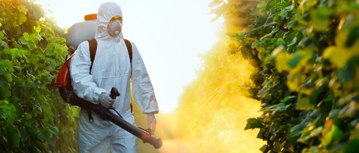 Pesticides being sprayed on vegetables