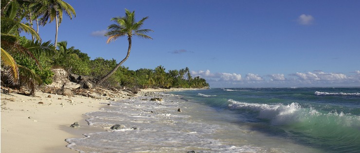 Palms trees on a beach on the Cocos Keeling islands