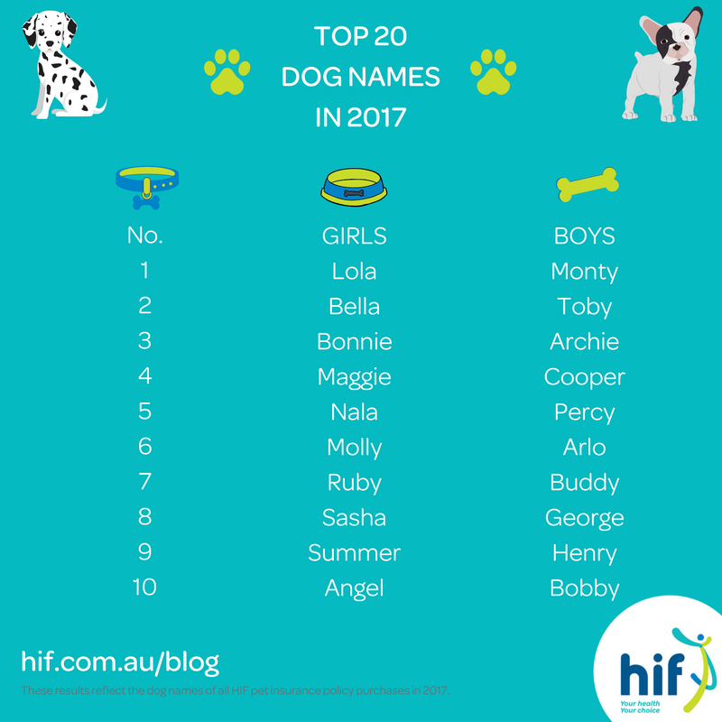 Top 20 Dog Names In 2017